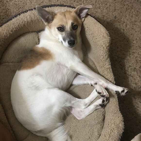 Meet your Posher, Alisa - Picture 7 of 8